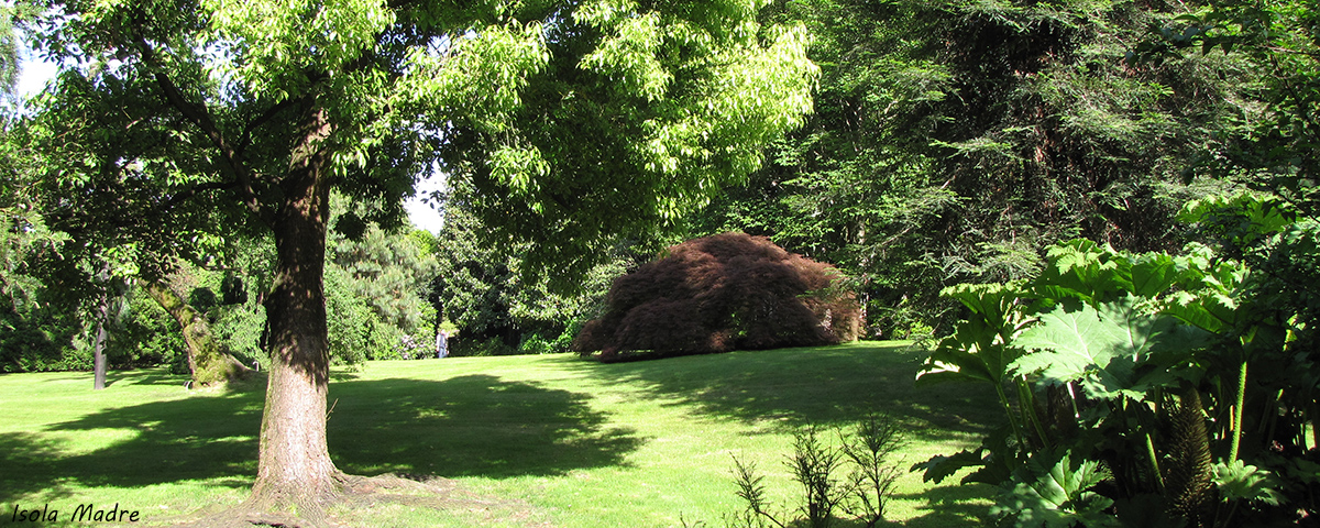 Stresa Travel Lake Maggiore Group Garden Tours