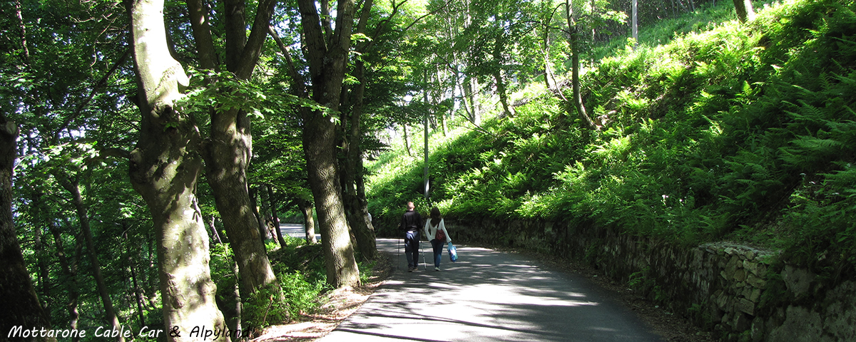 Stresa Viaggi Lago Maggiore Grupi Trekking