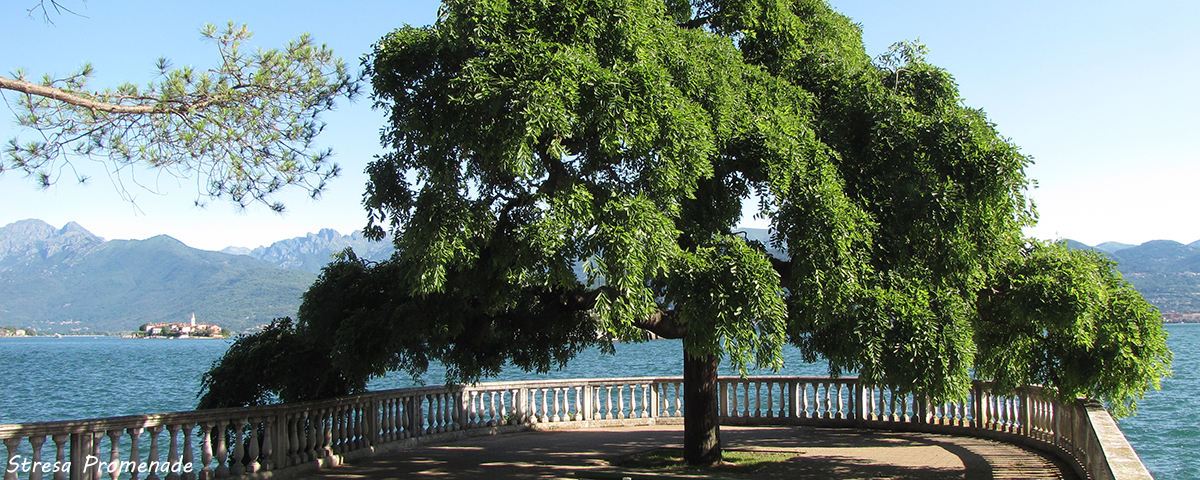 Stresa Agence de Voyage Lac Majeur Excursions Groupes Transferts