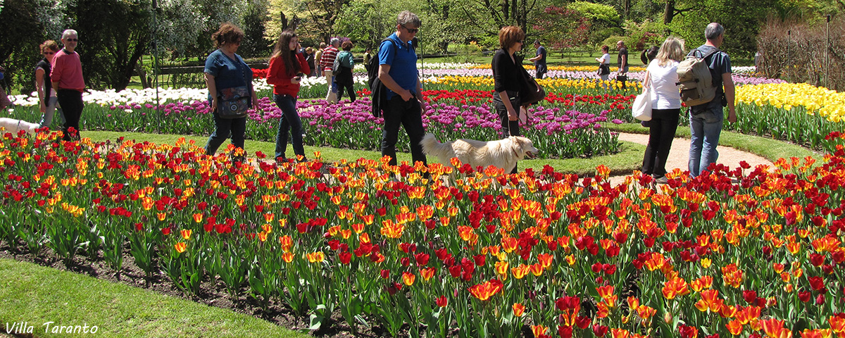 Stresa Travel Lake Maggiore Villa Taranto Gardens