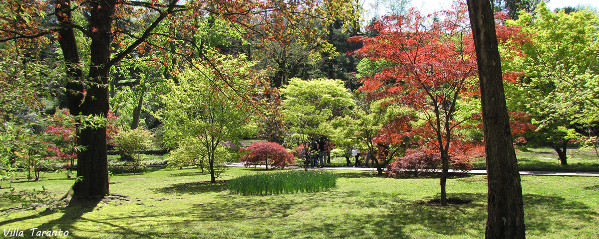 Stresa Travel Lake Maggiore Villa Taranto Gardens