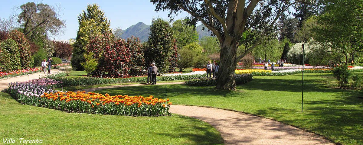 Stresa Agence de Voyage Lac Majeur Jardins Villa Taranto